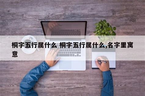 桐五行|桐五行属什么